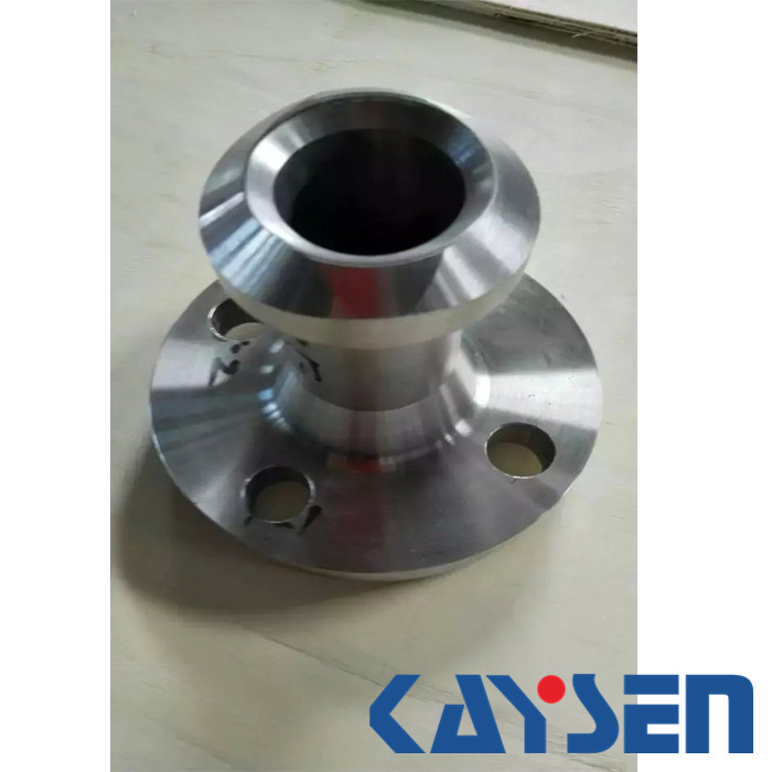 stainless steel forged weldo flange